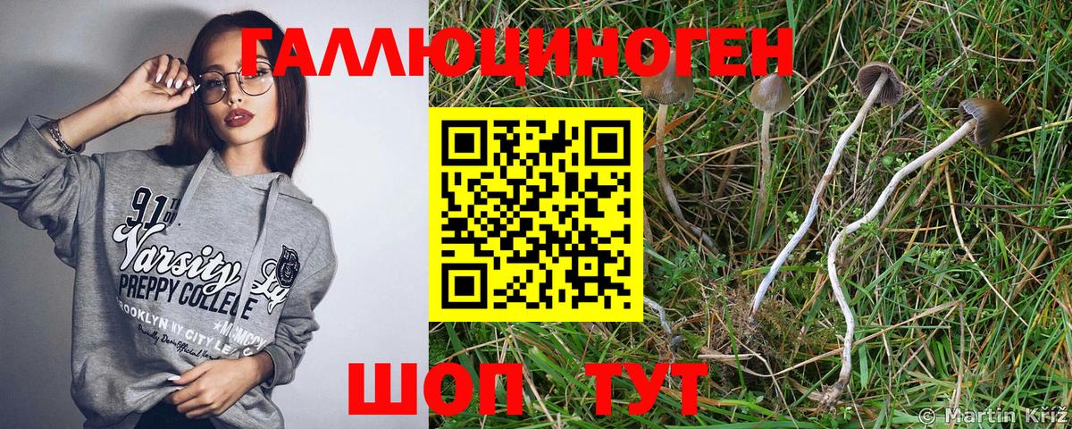 Галлюциногенные грибы MAGIC MUSHROOMS  Вход с VPN  Ленинск-Кузнецкий  Галлюциногенные грибы Magic Shrooms 