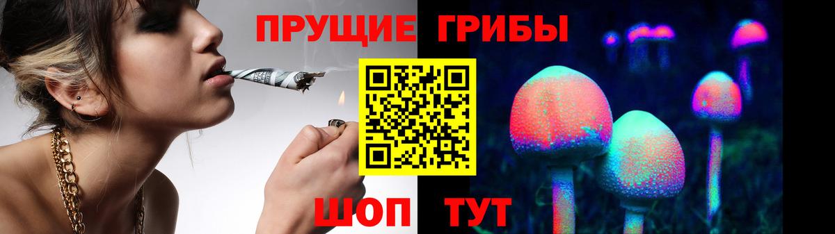 Галлюциногенные грибы мицелий Ленинск-Кузнецкий